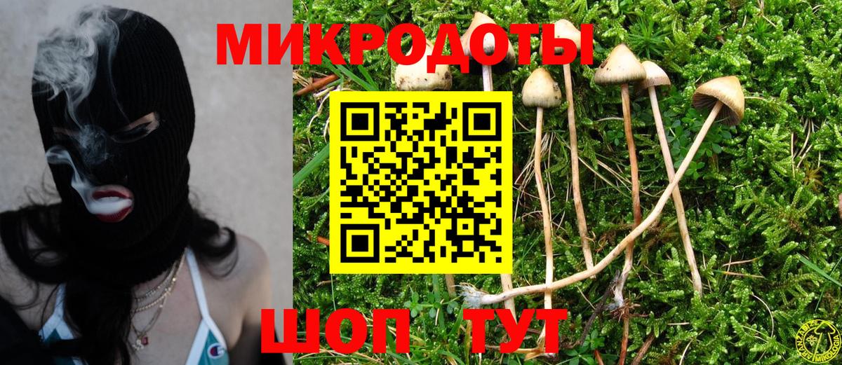 магазин продажи наркотиков  Галлюциногенные грибы MAGIC MUSHROOMS  Вход с VPN  Серпухов 