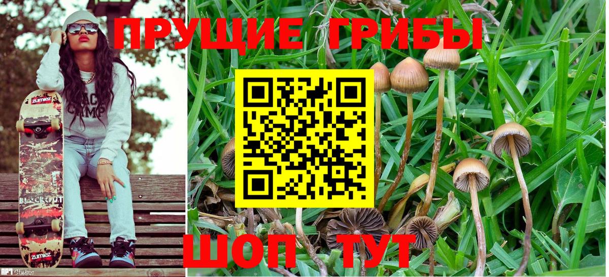 Галлюциногенные грибы Cubensis Серпухов